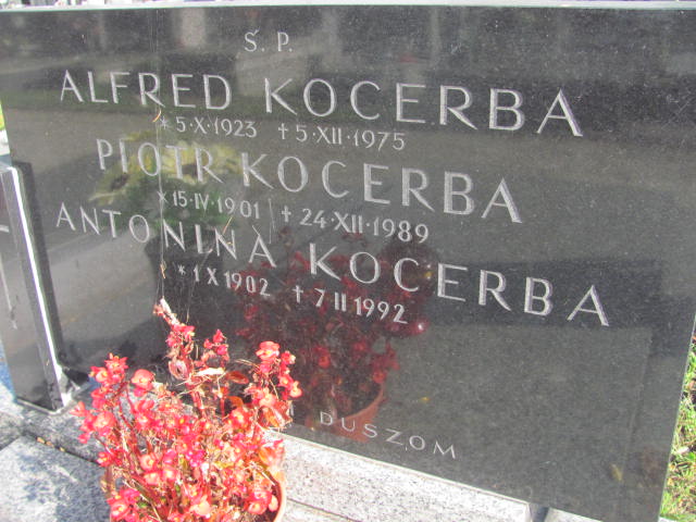 Piotr Kocerba 1901 Kazimierza Wielka - Grobonet - Wyszukiwarka osób pochowanych