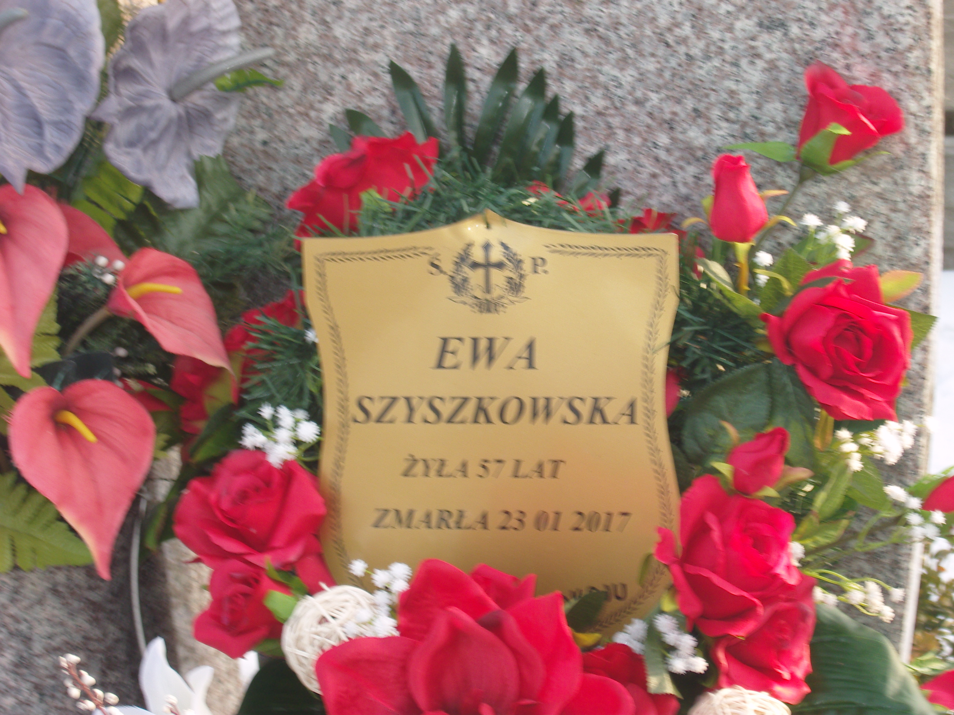 Bolesław Szyszkowski 1952 Kazimierza Wielka - Grobonet - Wyszukiwarka osób pochowanych